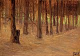 Forest with Sunlit Clearing in the Background